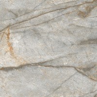 Керамогранит Forest Carving цвет керамогранитной плитки Серый