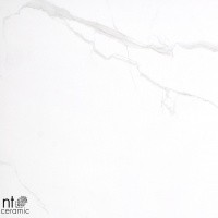 Керамогранит NTT9402 цвет керамогранитной плитки Белый