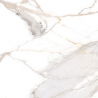 Керамогранит NTT9120M Calacatta Light Grey mat цвет керамогранитной плитки Белый