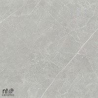 Керамогранит NTT1101 цвет керамогранитной плитки Серый