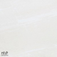 Керамогранит NTT9701 цвет керамогранитной плитки Бежевый