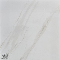 Керамогранит NTT9401 цвет керамогранитной плитки Бежевый