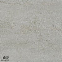 Керамогранит NTT9001 цвет керамогранитной плитки Серый