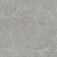 Керамогранит NTT9024 цвет керамогранитной плитки Серый