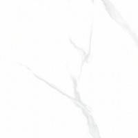 Керамогранит NTT9106 Statuario цвет керамогранитной плитки Белый