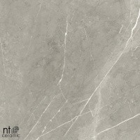 Керамогранит NTT9102 цвет керамогранитной плитки Серый