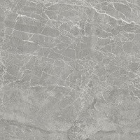 Керамогранит NTT9024 цвет керамогранитной плитки Серый
