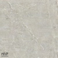 Керамогранит NTT9022 цвет керамогранитной плитки Серый