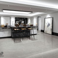 Керамогранит NTT1101 цвет керамогранитной плитки Серый