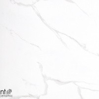 Керамогранит NTT9402 цвет керамогранитной плитки Белый