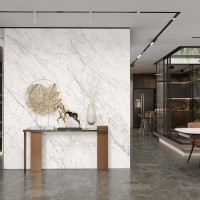 Керамогранит Carrara Elite цвет керамогранитной плитки Белый