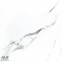 Керамогранит NTT9100 цвет керамогранитной плитки Белый