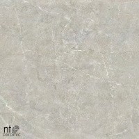 Керамогранит NTT9022 цвет керамогранитной плитки Серый