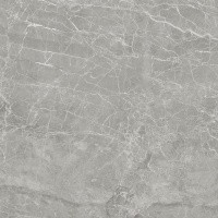 Керамогранит NTT9024 цвет керамогранитной плитки Серый