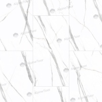 Stone Maritaca Antic