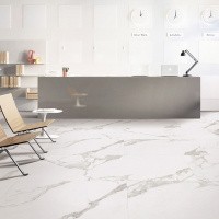 Керамогранит NTT1001 цвет керамогранитной плитки Белый