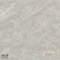 Керамогранит NTT9022 цвет керамогранитной плитки Серый