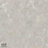 Керамогранит NTT9022 цвет керамогранитной плитки Серый
