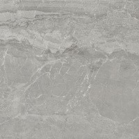 Керамогранит NTT9024 цвет керамогранитной плитки Серый