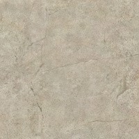 Керамогранит NTT9021 цвет керамогранитной плитки Коричневый