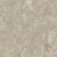 Керамогранит NTT9021 цвет керамогранитной плитки Коричневый
