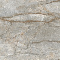 Керамогранит Forest Carving цвет керамогранитной плитки Серый