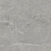 Керамогранит NTT9024 цвет керамогранитной плитки Серый