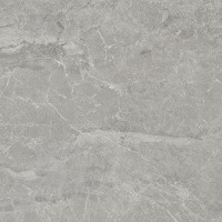 Керамогранит NTT9024 цвет керамогранитной плитки Серый