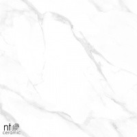 Керамогранит Statuario Endless Mat цвет керамогранитной плитки Серый