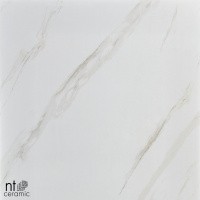 Керамогранит NTT9401 цвет керамогранитной плитки Бежевый