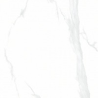 Керамогранит NTT9106 Statuario цвет керамогранитной плитки Белый