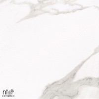 Керамогранит NTT1001 цвет керамогранитной плитки Белый