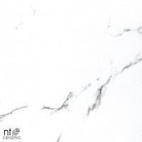 Керамогранит NTT9100 цвет керамогранитной плитки Белый