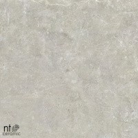 Керамогранит NTT9022 цвет керамогранитной плитки Серый