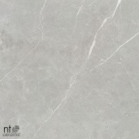 Керамогранит NTT1101 цвет керамогранитной плитки Серый