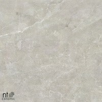 Керамогранит NTT9022 цвет керамогранитной плитки Серый