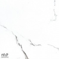 Керамогранит NTT9100 цвет керамогранитной плитки Белый