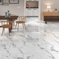 Керамогранит Callacata Endless цвет керамогранитной плитки Белый