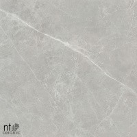 Керамогранит NTT1101 цвет керамогранитной плитки Серый