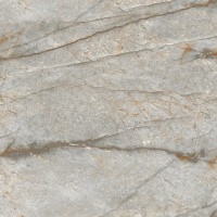 Керамогранит Forest Carving цвет керамогранитной плитки Серый