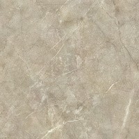 Керамогранит NTT9021 цвет керамогранитной плитки Коричневый
