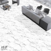 Керамогранит Callacata Endless Mat цвет керамогранитной плитки Белый