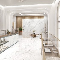 Керамогранит Calacatta Light цвет керамогранитной плитки Белый