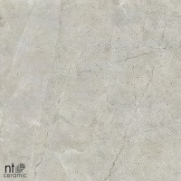 Керамогранит NTT9022 цвет керамогранитной плитки Серый