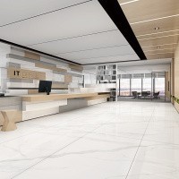 Керамогранит Statuario mat цвет керамогранитной плитки Серый