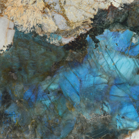 NTT9398P цвет керамогранитной плитки 