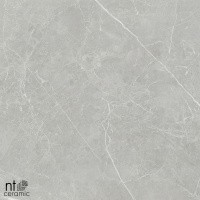 Керамогранит NTT1101 цвет керамогранитной плитки Серый