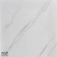 Керамогранит NTT9401 цвет керамогранитной плитки Бежевый