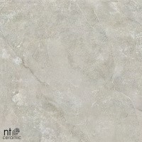 Керамогранит NTT9022 цвет керамогранитной плитки Серый