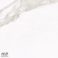 Керамогранит NTT1001 цвет керамогранитной плитки Белый